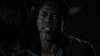 the_100_survivors_3543.jpg