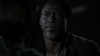 the_100_survivors_3549.jpg