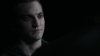 the_100_survivors_3551.jpg