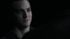 the_100_survivors_3561.jpg