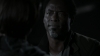 the_100_survivors_3585.jpg