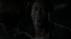the_100_survivors_3591.jpg