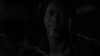 the_100_survivors_3592.jpg