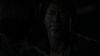 the_100_survivors_3593.jpg