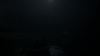 the_100_survivors_3647.jpg