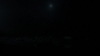 the_100_survivors_3686.jpg