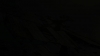 the_100_survivors_3690.jpg