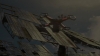 the_100_survivors_3693.jpg
