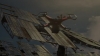 the_100_survivors_3694.jpg