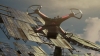 the_100_survivors_3699.jpg