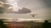 the_100_survivors_3730.jpg