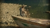 the_100_survivors_3745.jpg