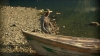the_100_survivors_3746.jpg
