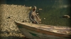 the_100_survivors_3747.jpg