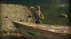 the_100_survivors_3751.jpg