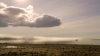 the_100_survivors_3783.jpg