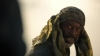 the_100_survivors_3804.jpg