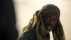 the_100_survivors_3805.jpg