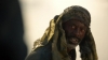 the_100_survivors_3806.jpg