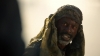 the_100_survivors_3809.jpg