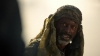 the_100_survivors_3810.jpg