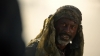 the_100_survivors_3811.jpg