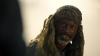 the_100_survivors_3812.jpg