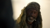 the_100_survivors_3822.jpg