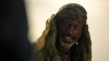the_100_survivors_3823.jpg