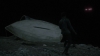 the_100_survivors_3845.jpg
