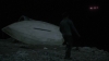 the_100_survivors_3848.jpg