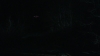 the_100_survivors_3919.jpg