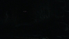 the_100_survivors_3920.jpg
