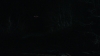 the_100_survivors_3921.jpg