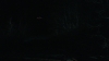 the_100_survivors_3922.jpg