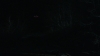 the_100_survivors_3923.jpg