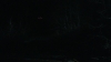 the_100_survivors_3924.jpg