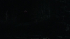 the_100_survivors_3925.jpg
