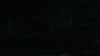 the_100_survivors_3926.jpg