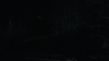 the_100_survivors_3927.jpg