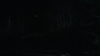 the_100_survivors_3928.jpg