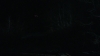 the_100_survivors_3929.jpg