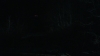 the_100_survivors_3930.jpg