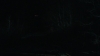 the_100_survivors_3931.jpg