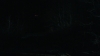 the_100_survivors_3932.jpg