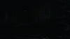the_100_survivors_3933.jpg