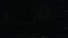 the_100_survivors_3934.jpg