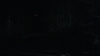 the_100_survivors_3935.jpg