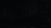 the_100_survivors_3936.jpg