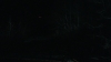 the_100_survivors_3937.jpg